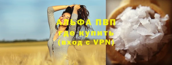 индика Нижневартовск