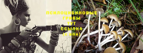 стаф Архангельск