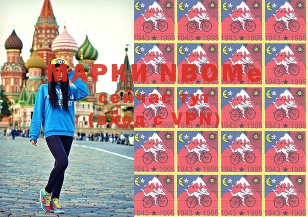 стаф Архангельск