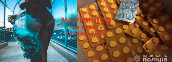 индика Нижневартовск