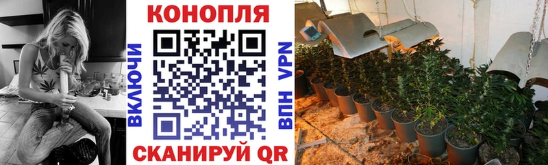 МАРИХУАНА THC 21% Купить Ясный